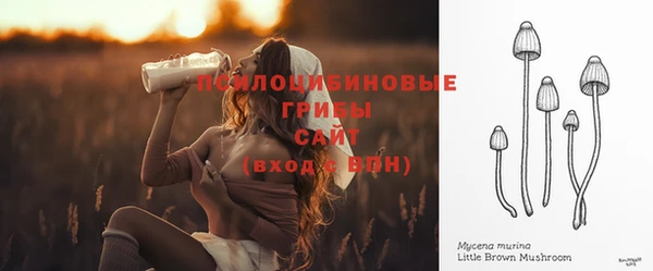 spice Кодинск