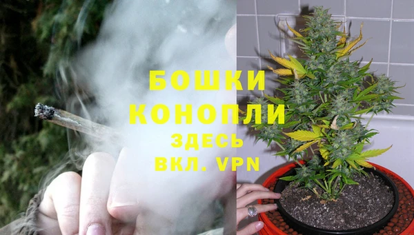 spice Кодинск