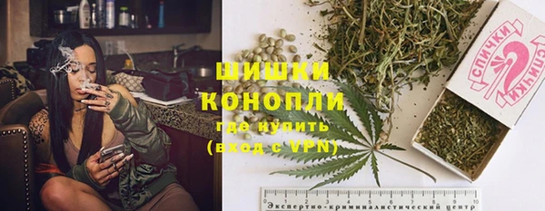шишки Козловка